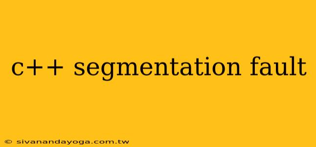 c++ segmentation fault