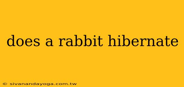 does a rabbit hibernate