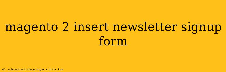 magento 2 insert newsletter signup form