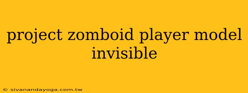 project zomboid player model invisible